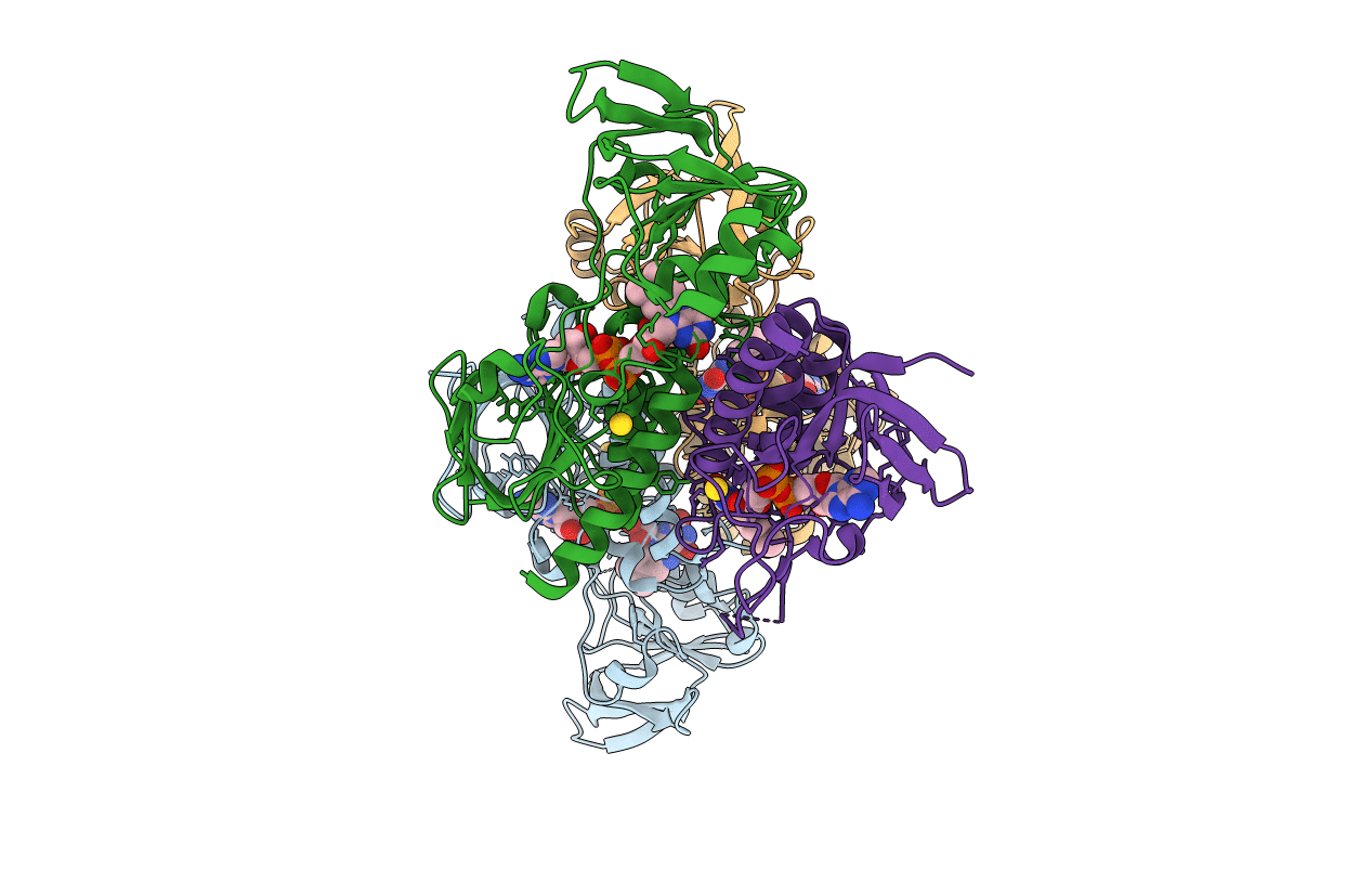 4CCR image