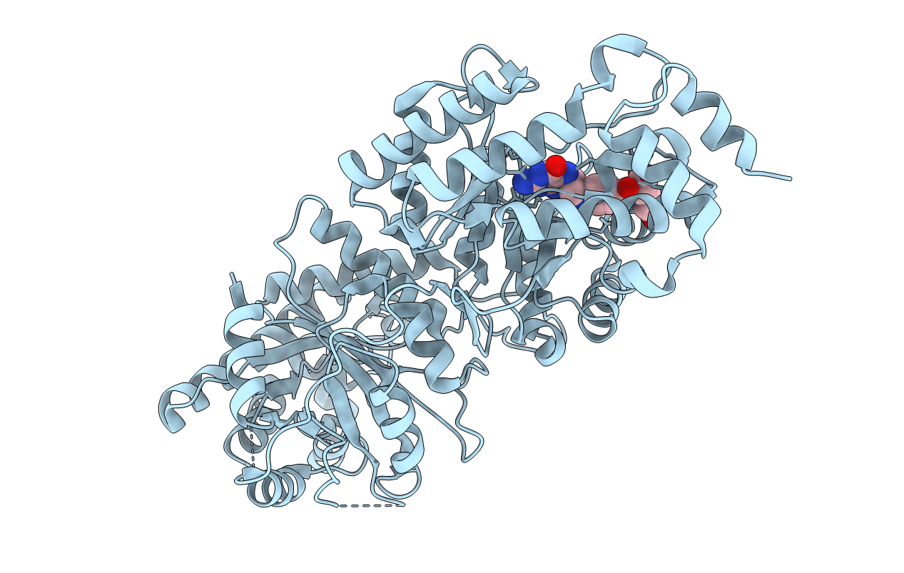 4CCZ image