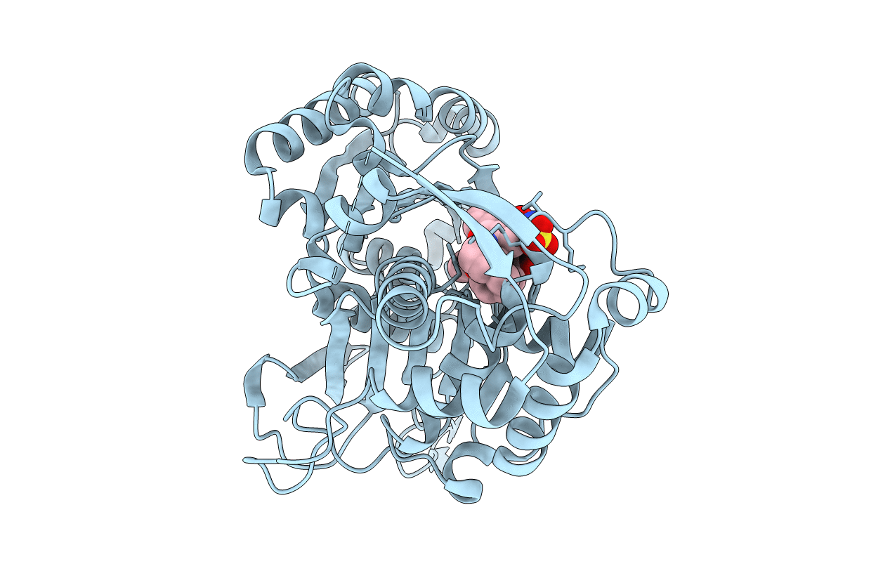 4CD1 image
