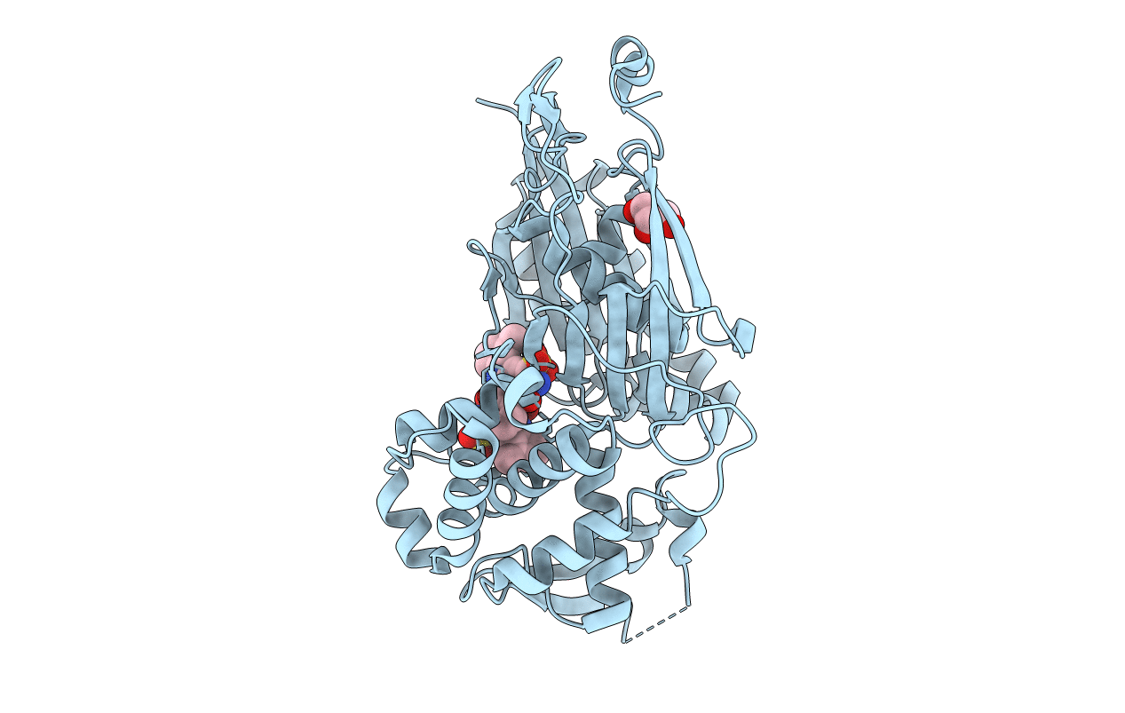 4CD3 image