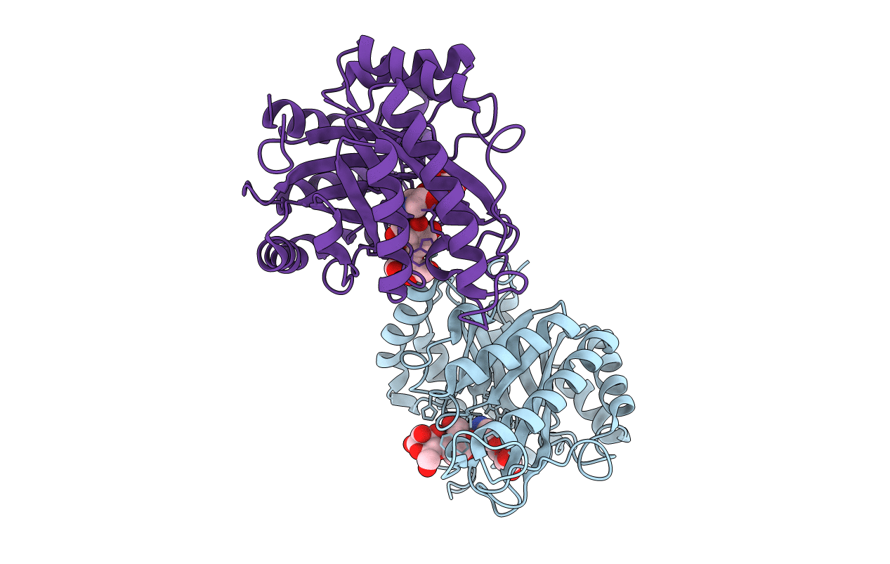 4CD7 image