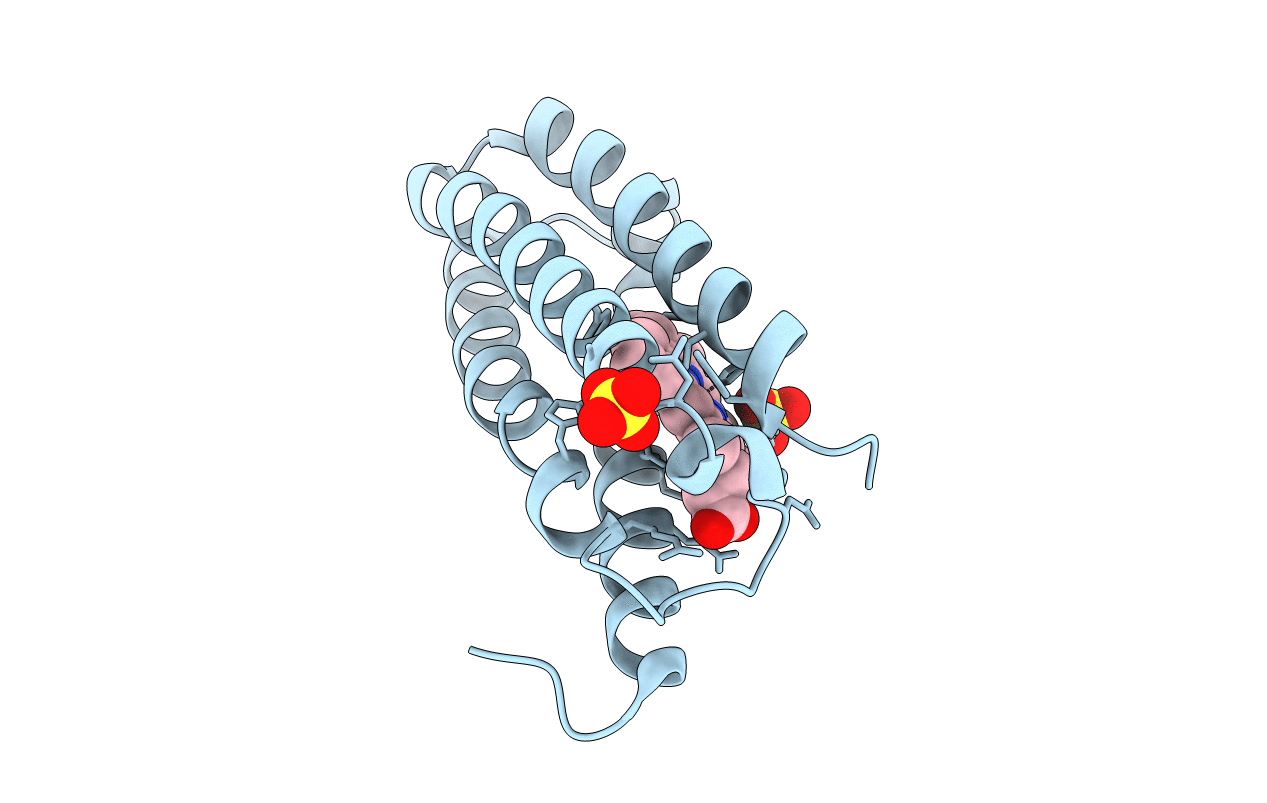 4CDA image