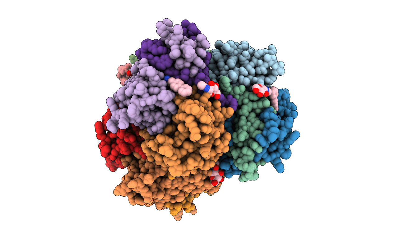 4CDC image