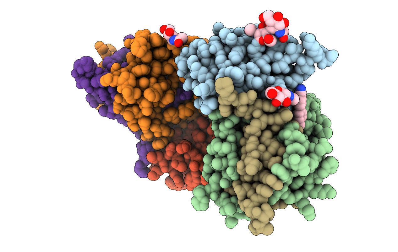 4CDD image