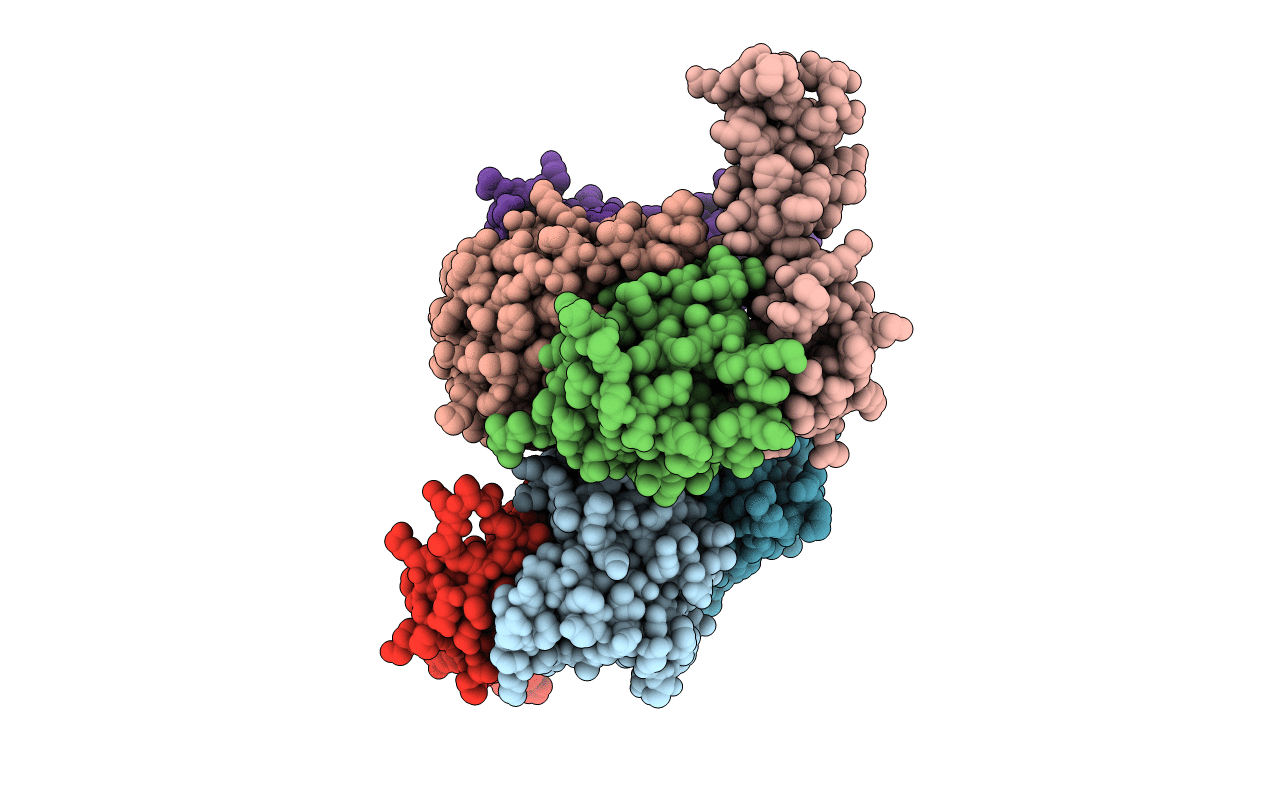 4CDK image