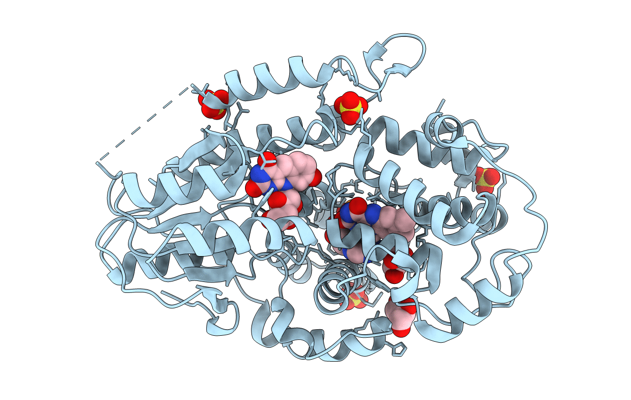 4CDM image