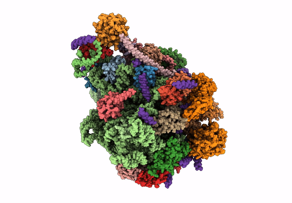 4CE4 image