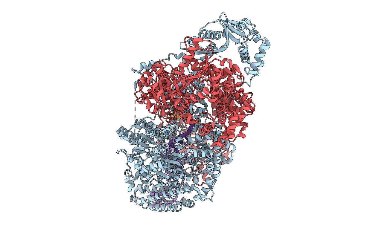 4CEH image