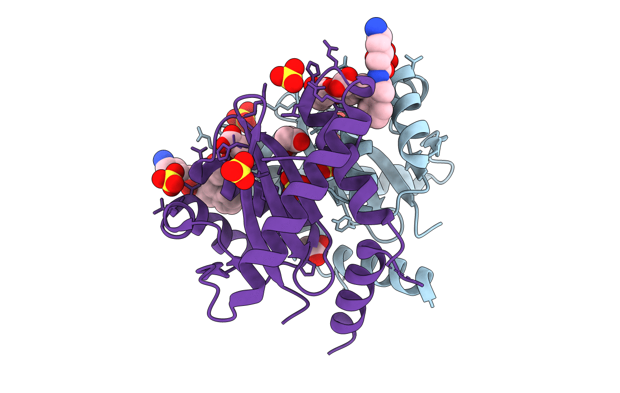4CF1 image