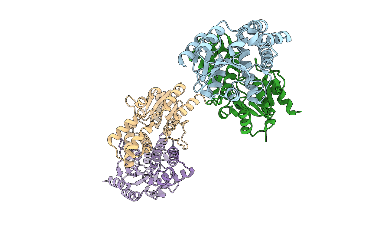 4CF5 image