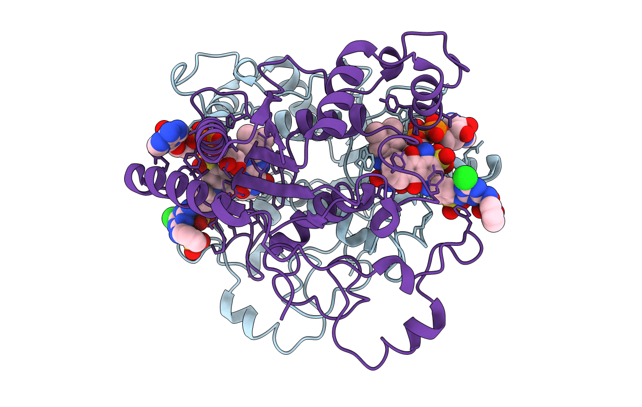 4CF6 image