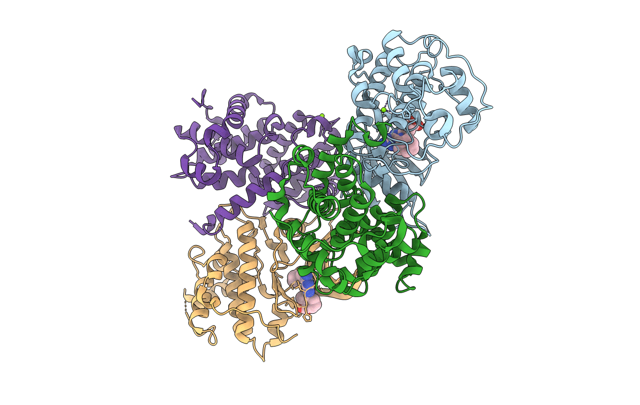 4CFU image