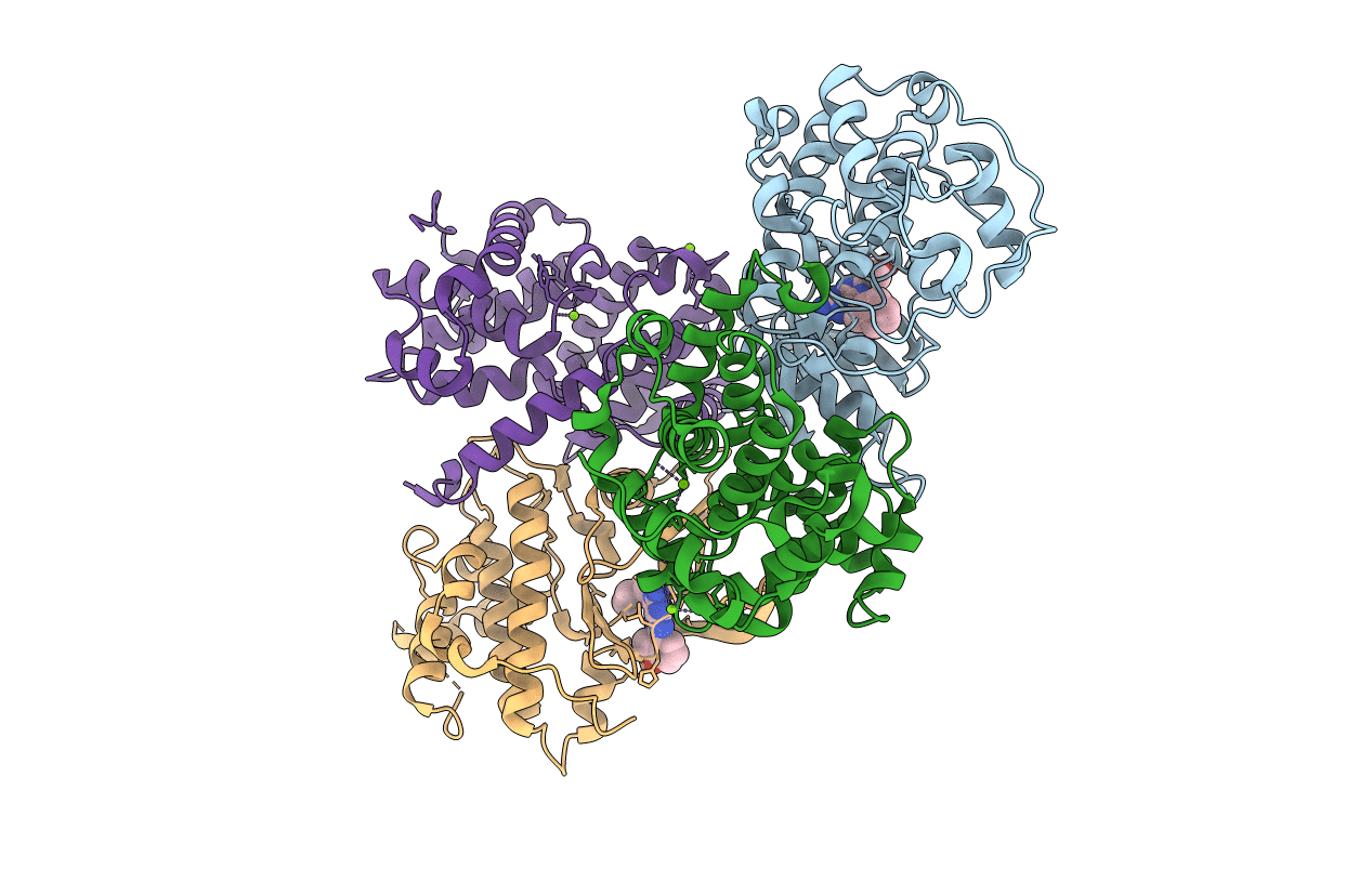 4CFV image