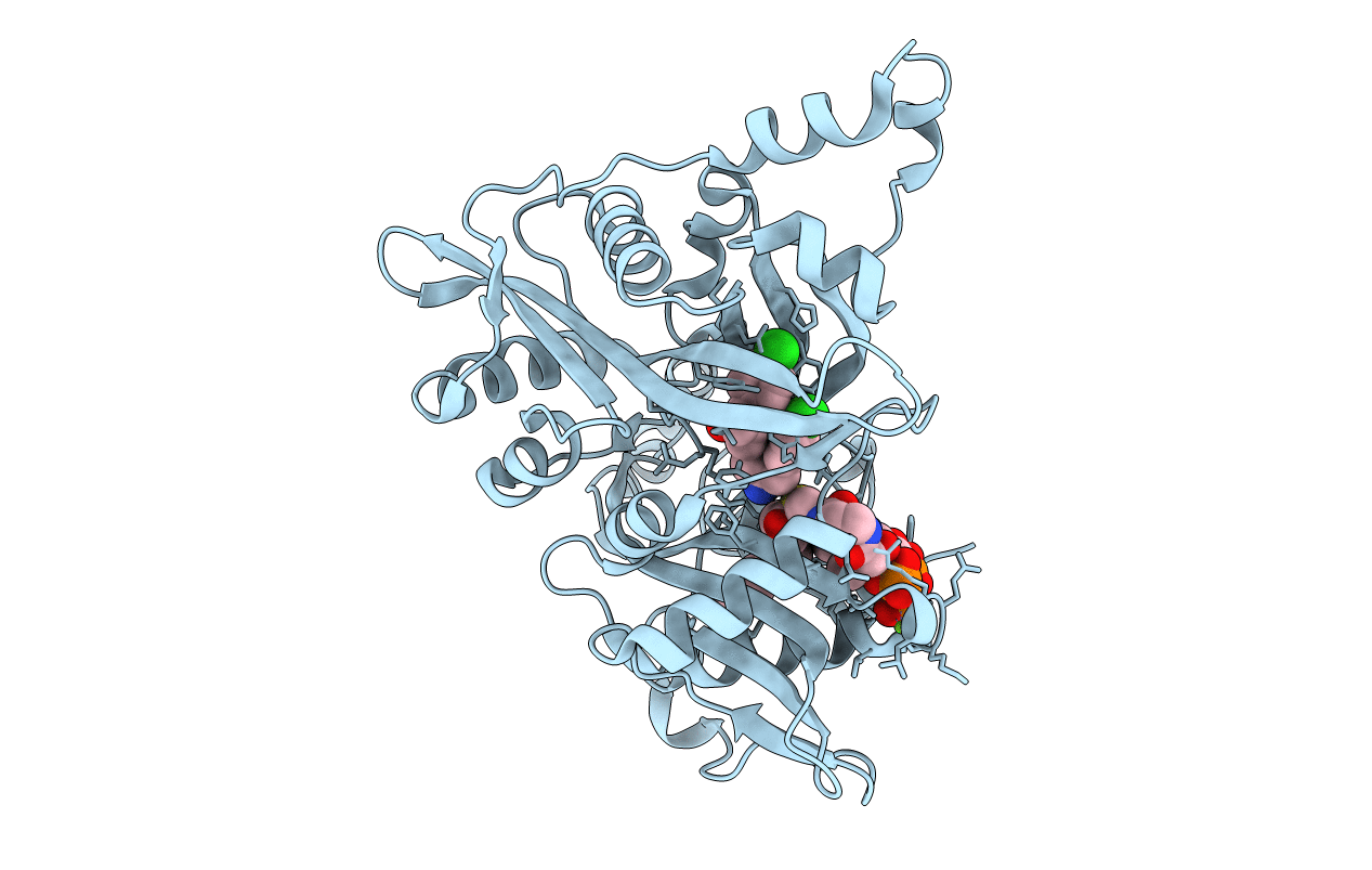 4CGL image