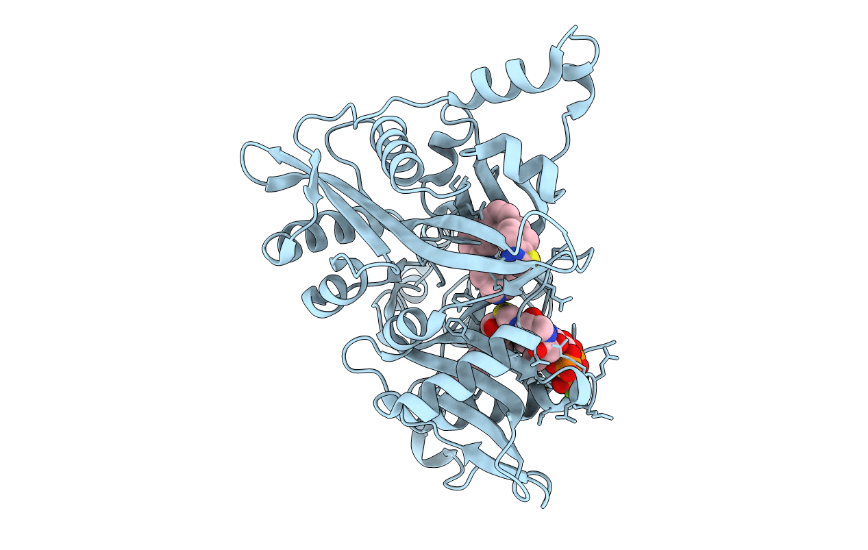 4CGM image