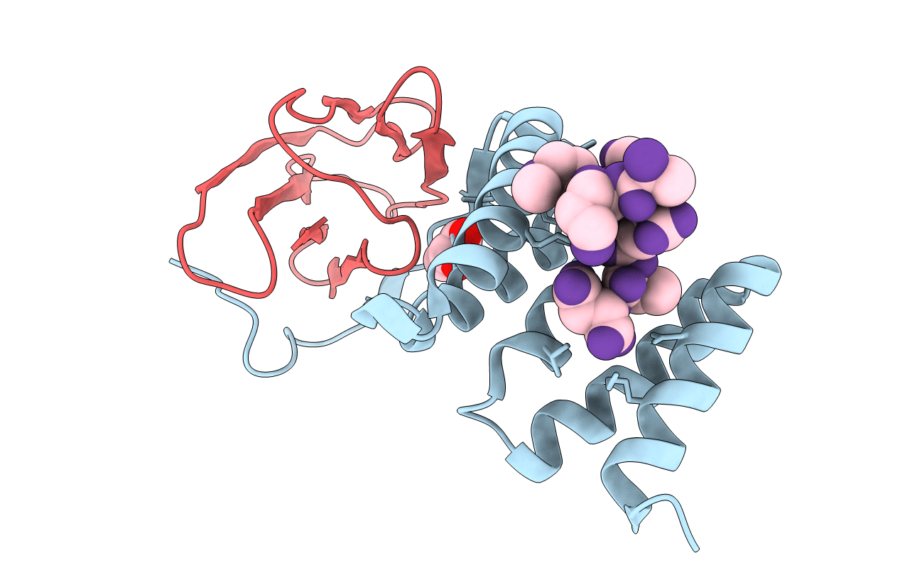 4CGU image