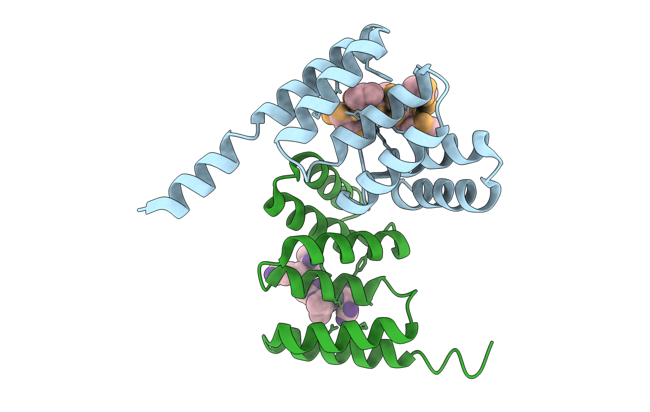 4CGW image