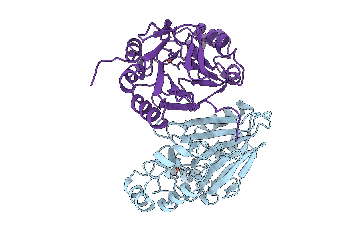 4CHL image