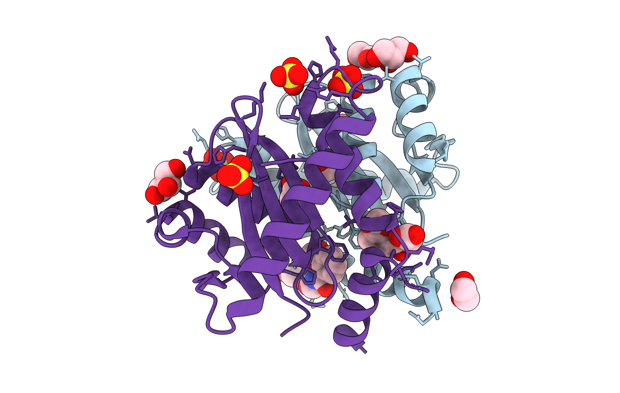 4CHN image