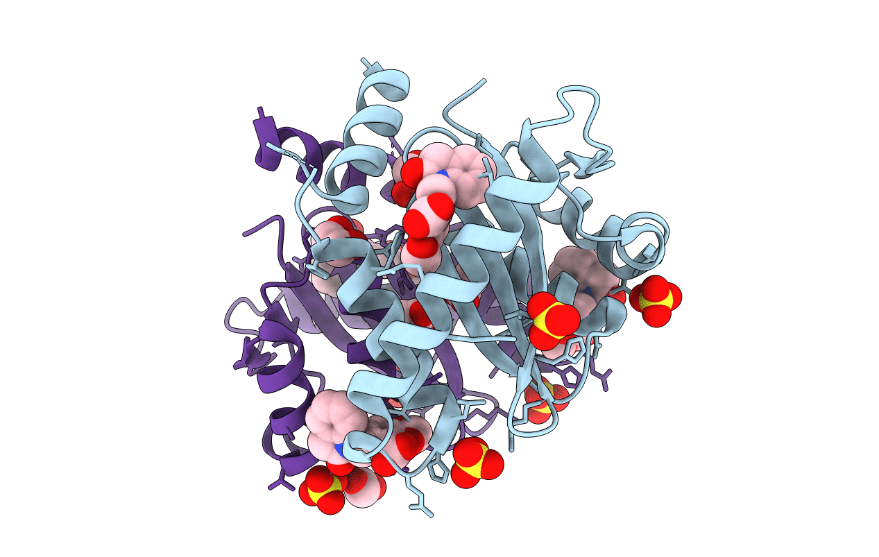4CHP image