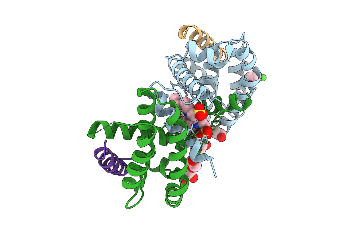 4CIN image