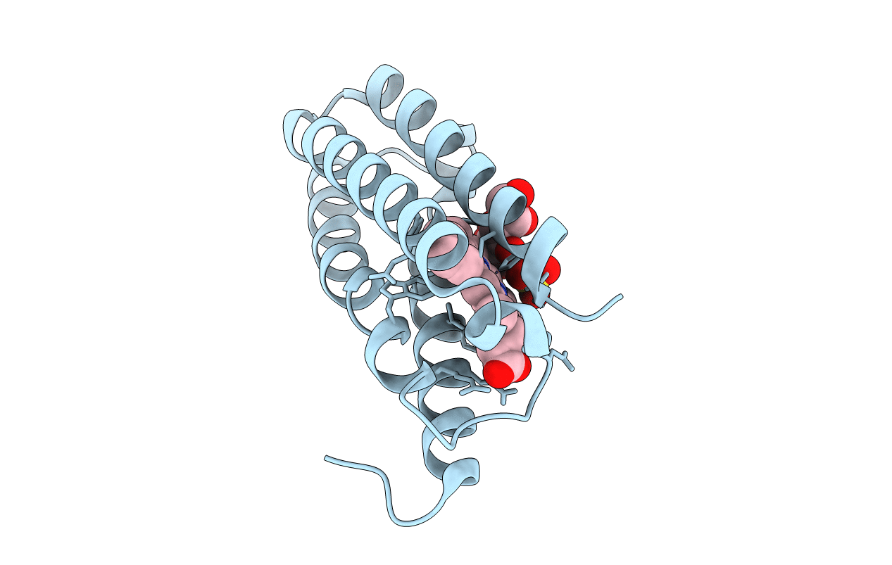 4CIP image