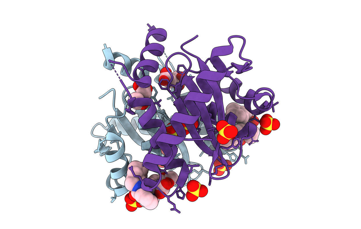 4CJS image