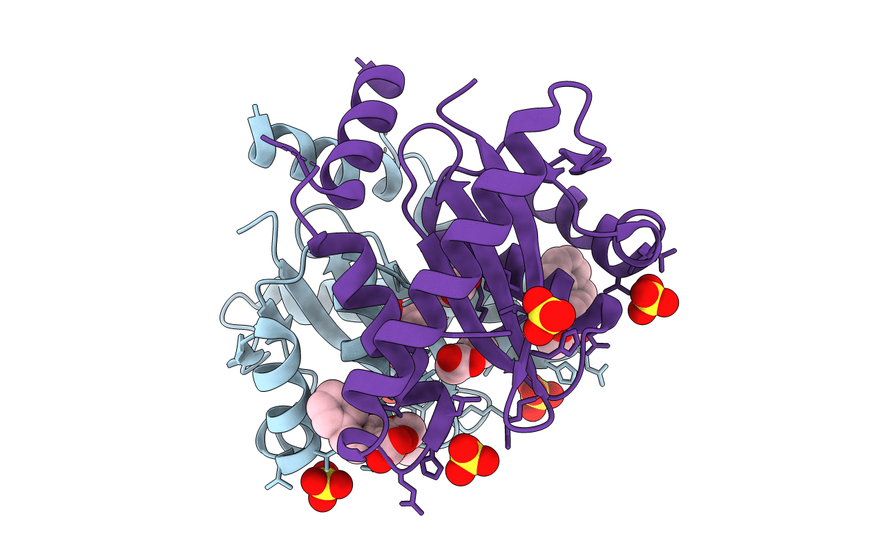 4CJU image