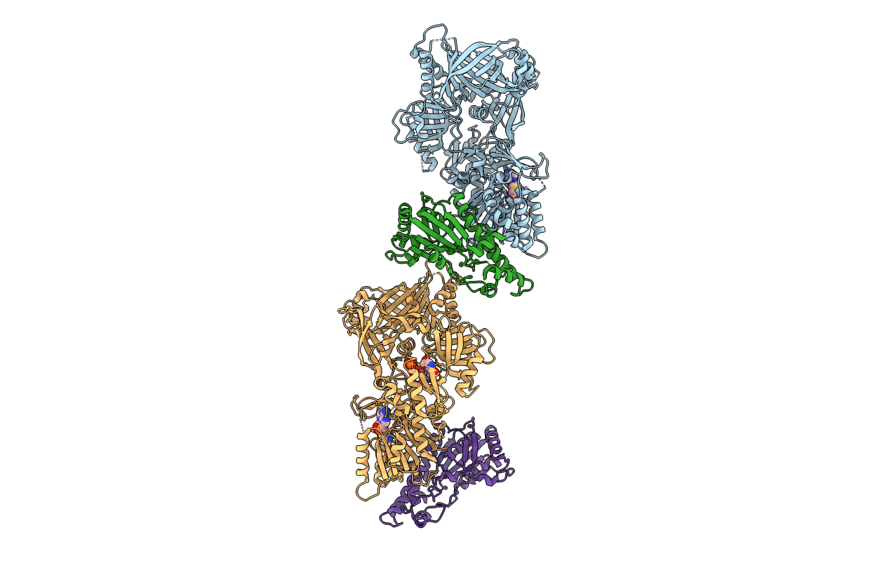 4CKB image