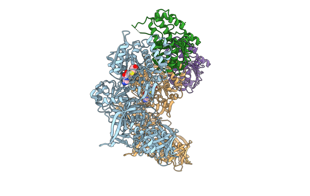 4CKC image