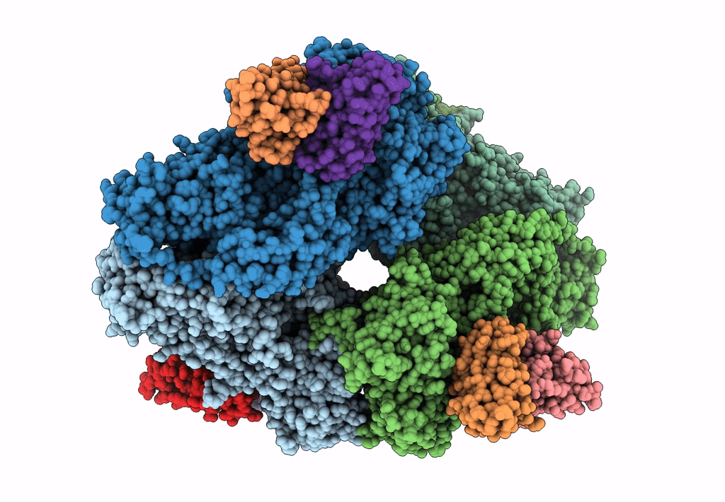 4CKD image