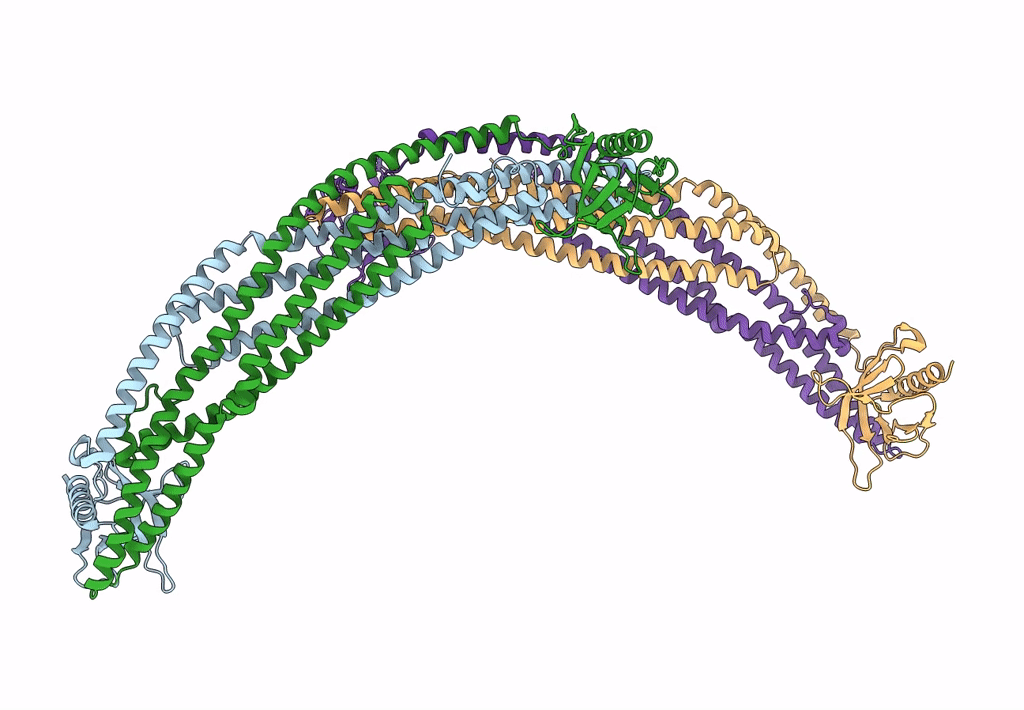 4CKG image