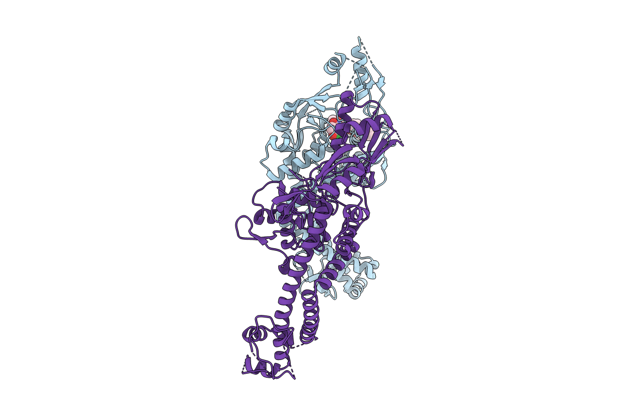 4CKL image