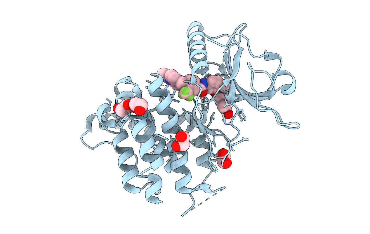 4CKR image