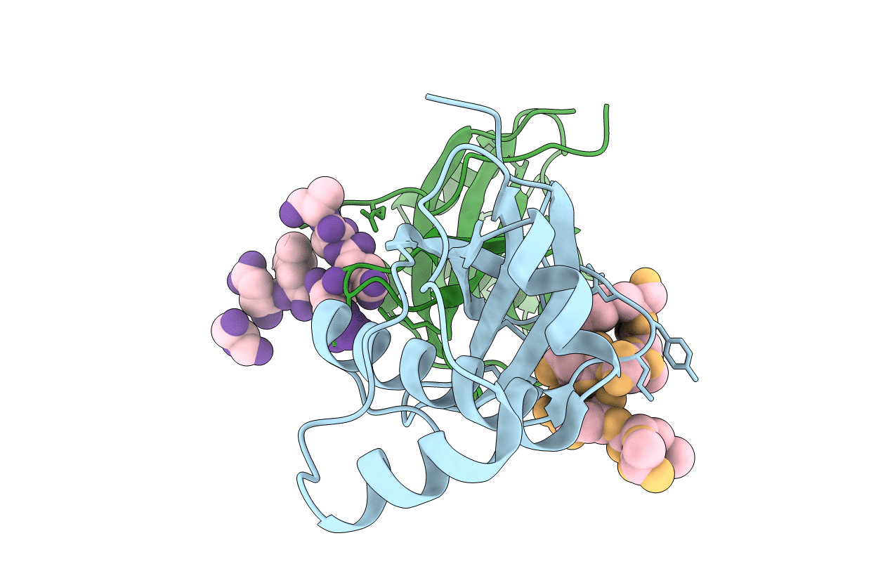 4CKT image