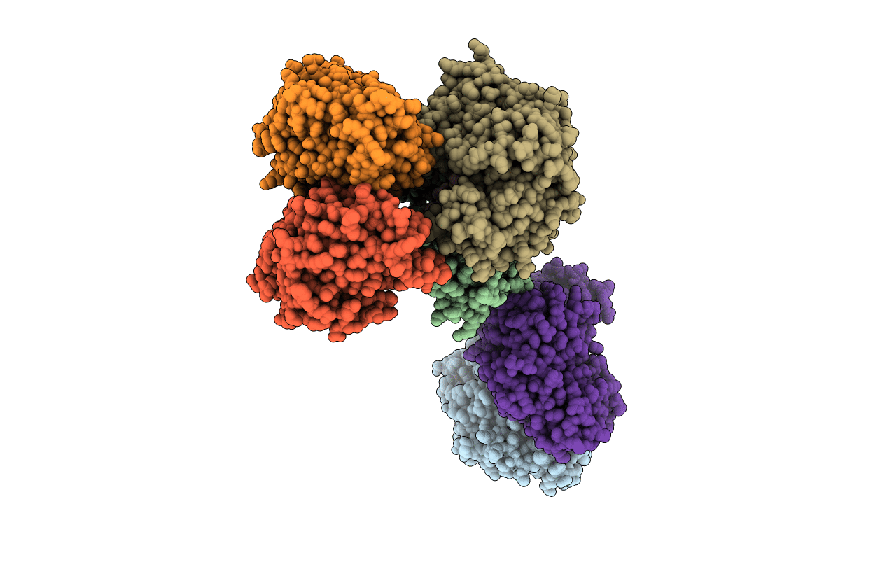 4CKU image