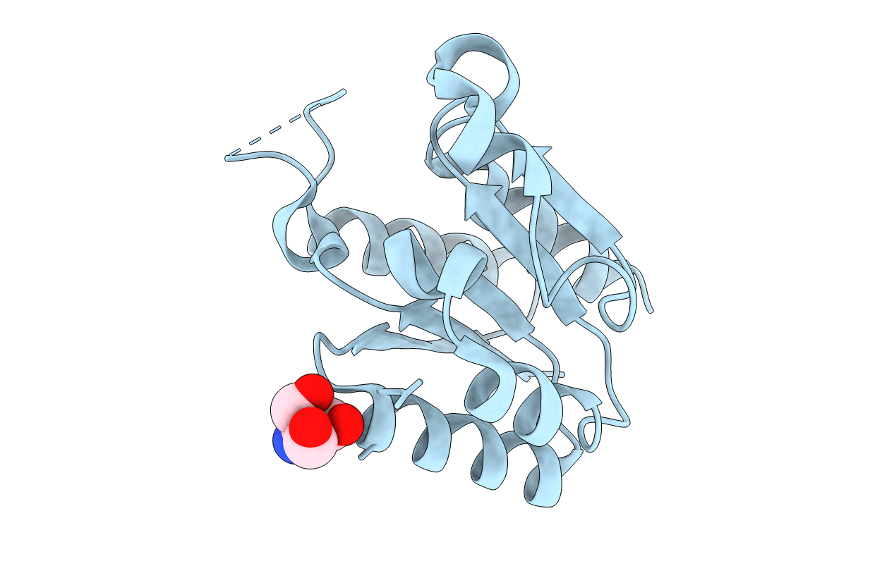4CKX image