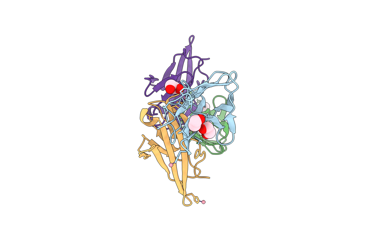 4CL7 image