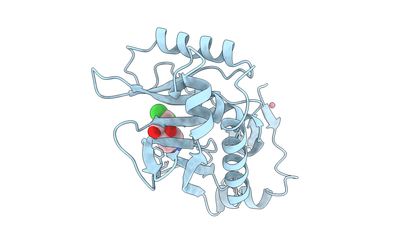4CLA image
