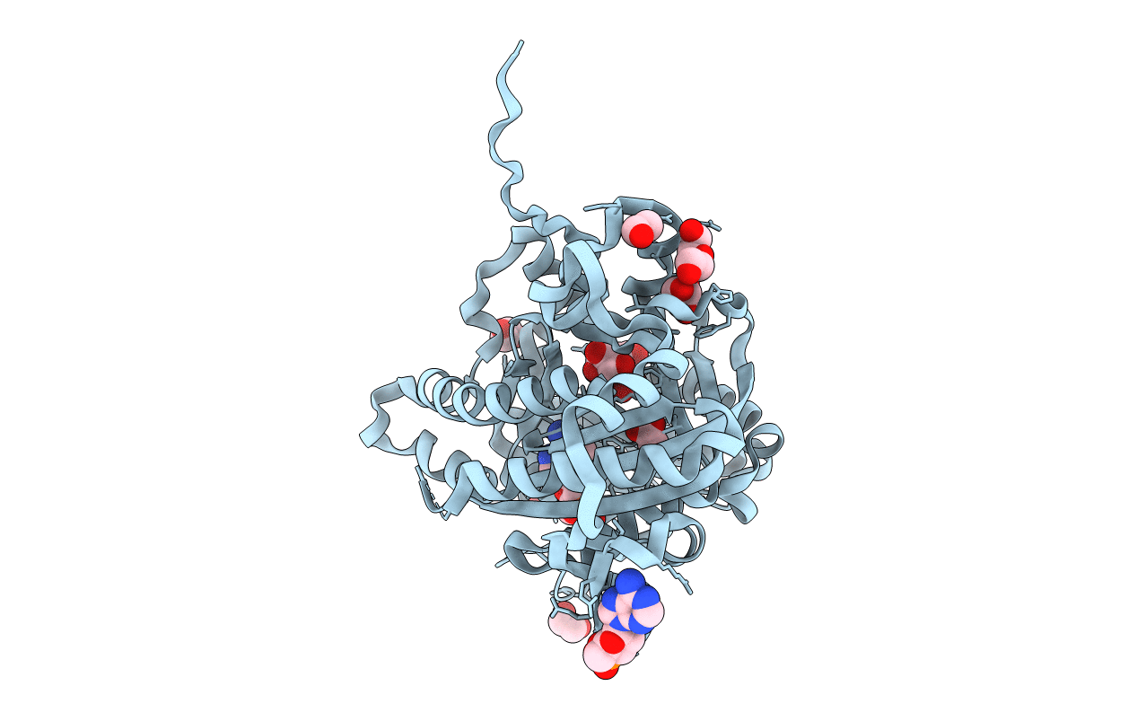 4CLP image