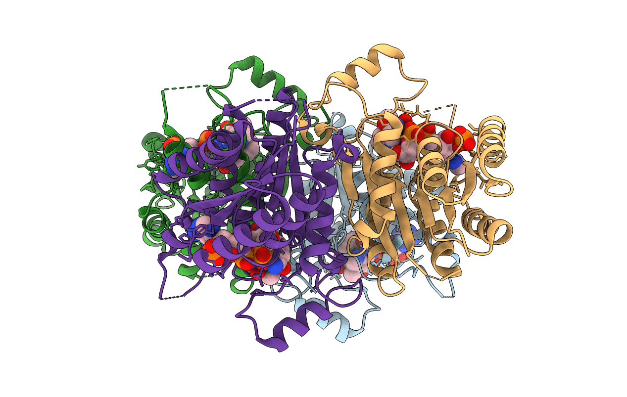 4CLR image