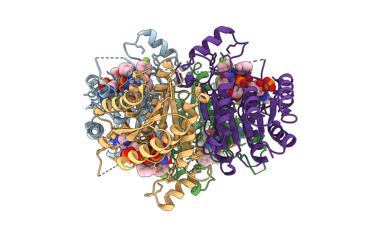 4CMB image