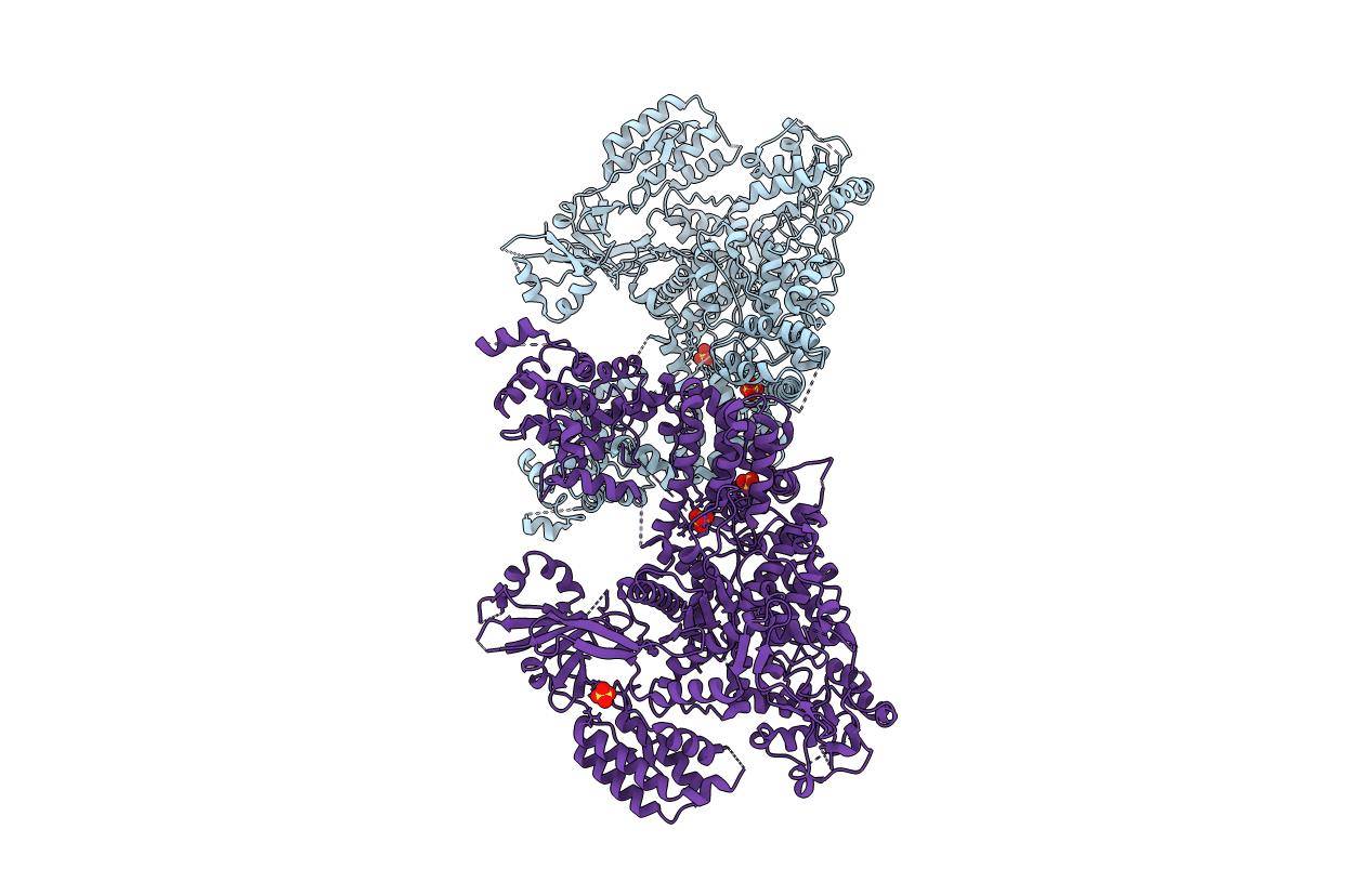 4CMP image