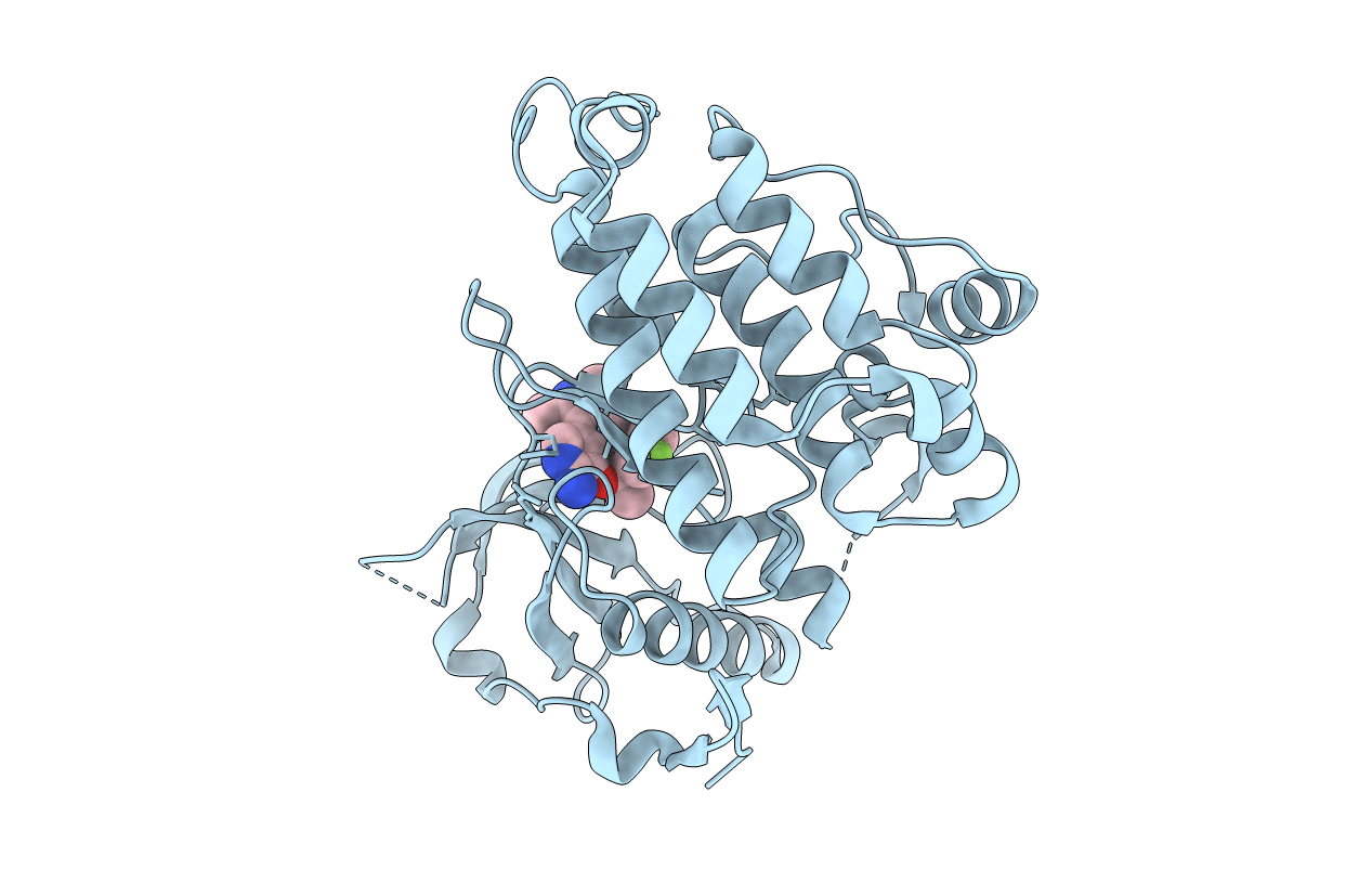 4CMU image