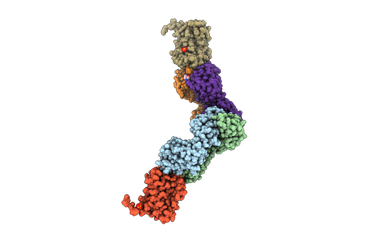 4CNI image