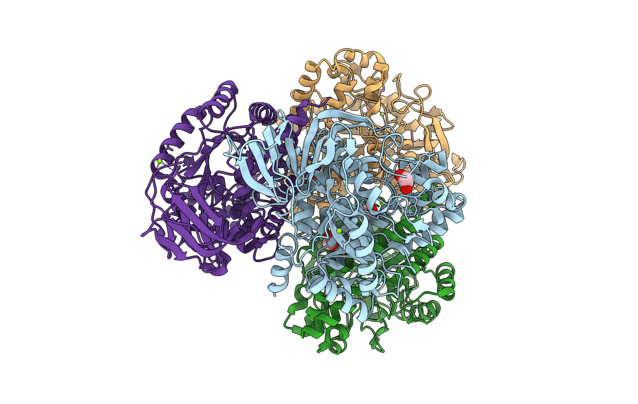 4CNS image