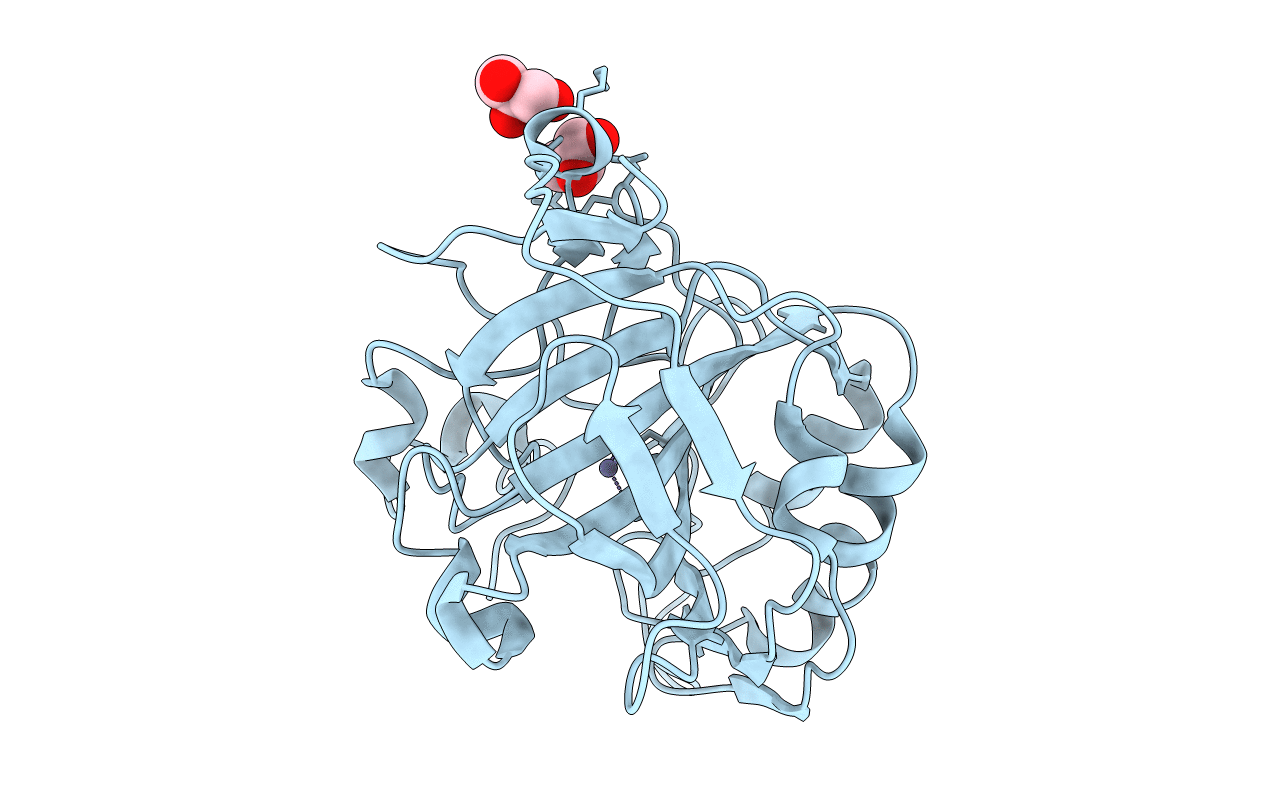 4CNV image