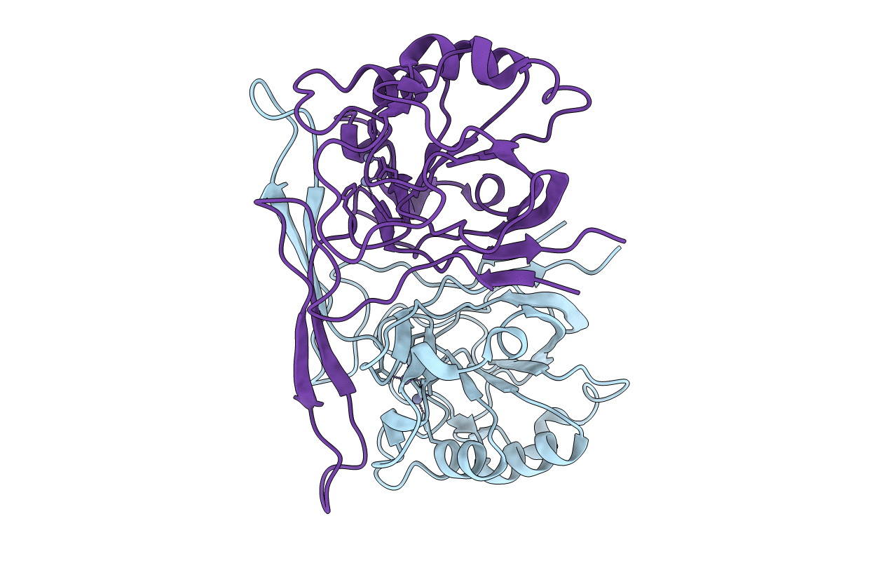 4COB image