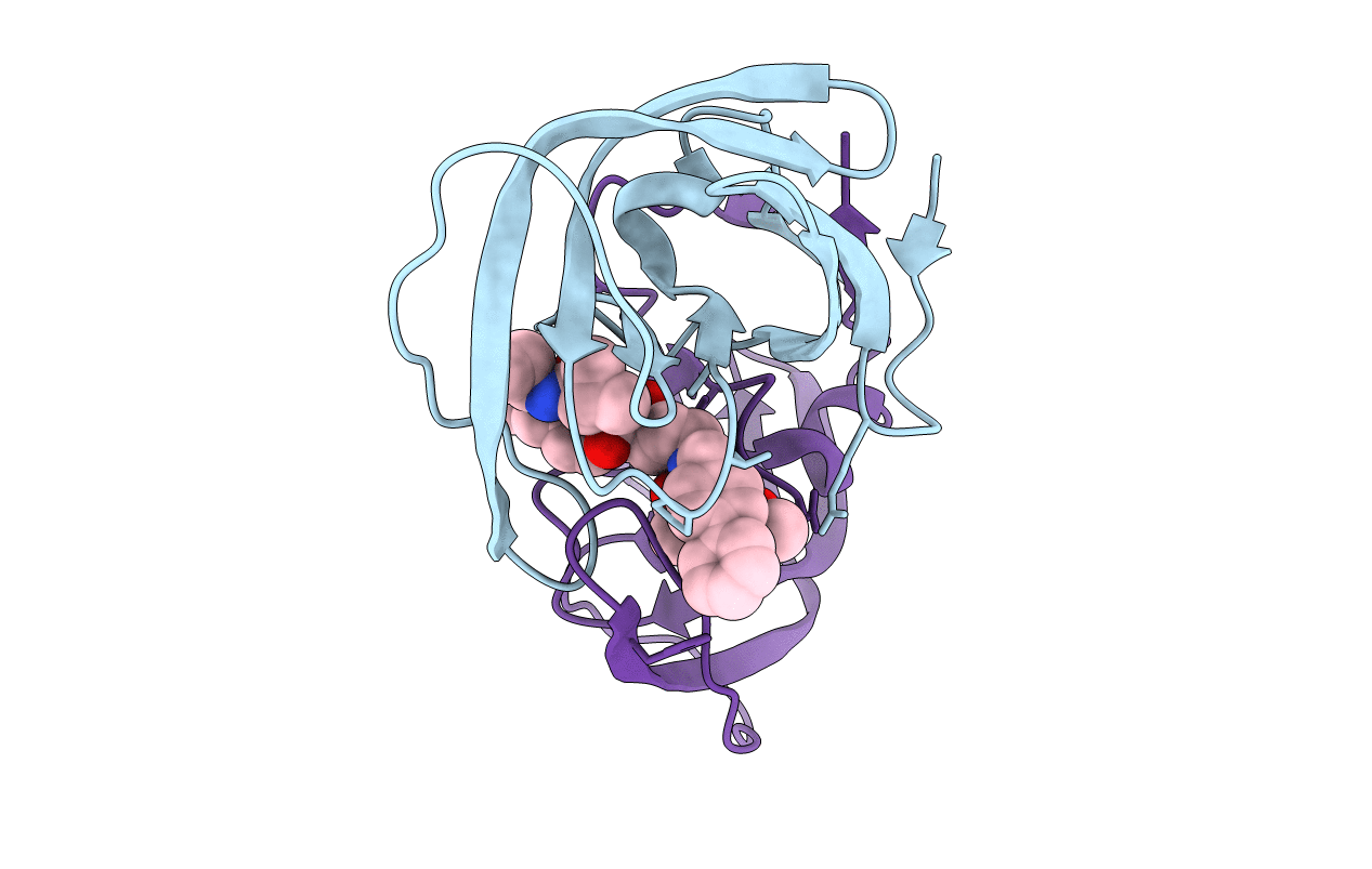 4COE image