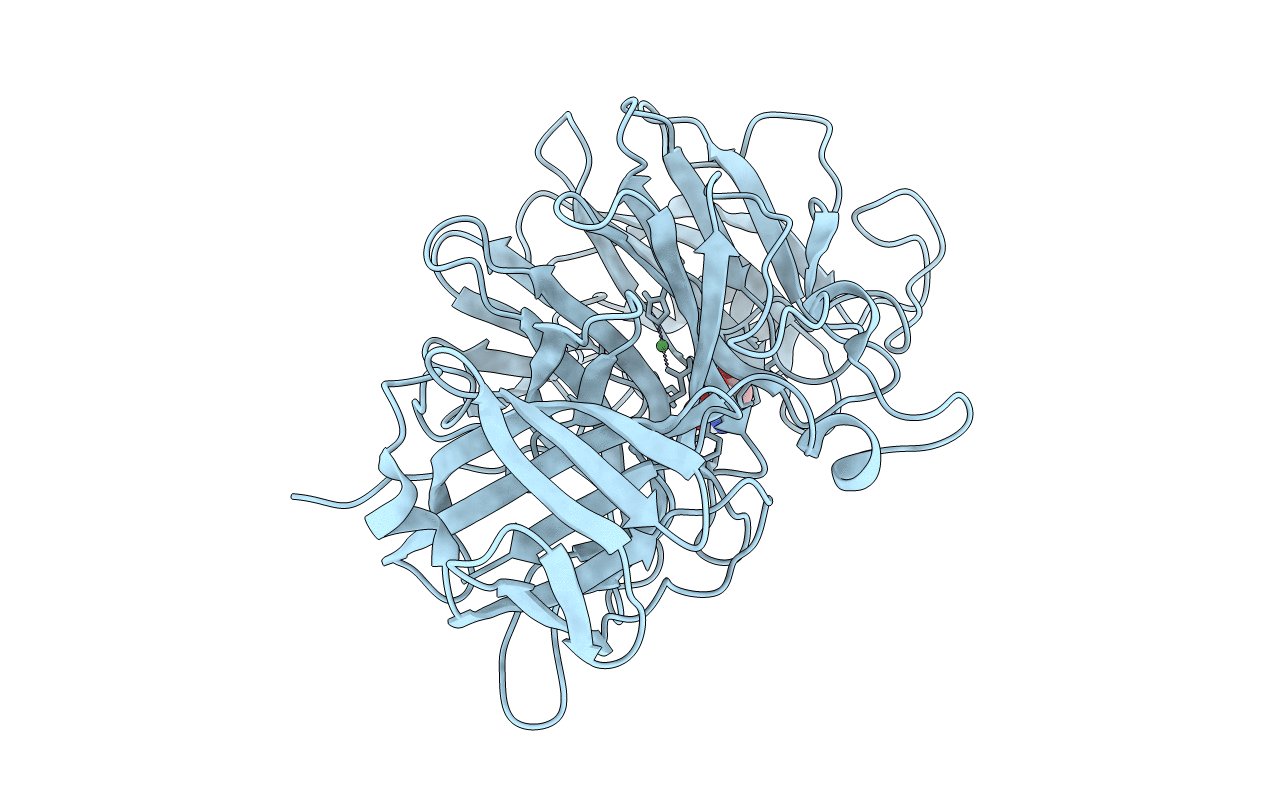 4COT image